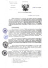 Vista preliminar de documento RD-316-2024-DG-INCN