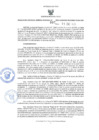 Vista preliminar de documento RES-007-2025-GGR