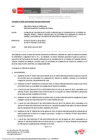 Vista preliminar de documento RD_005_2025_MINEM_DGAAM