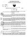 Vista preliminar de documento RDR 10331-2024