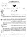 Vista preliminar de documento RDR 10332-2024