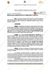 Vista preliminar de documento 30