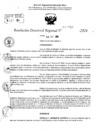 Vista preliminar de documento RDR 10333-2024