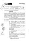 Vista preliminar de documento RDR 10335-2024