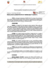 Vista preliminar de documento 38