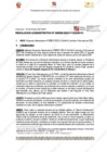Vista preliminar de documento 39