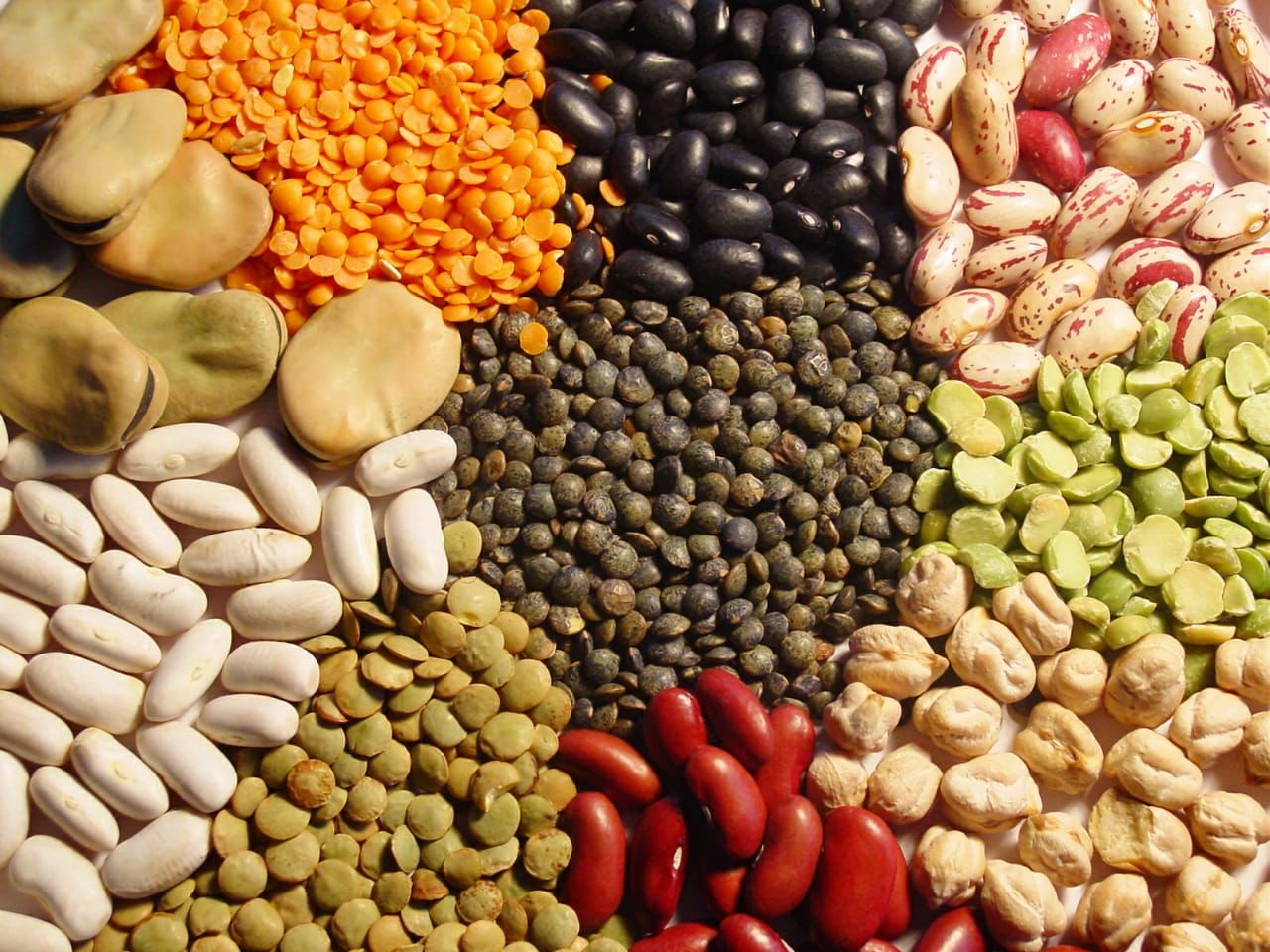MIDAGRI: Perú será anfitrión de las actividades oficiales de FAO por el Día Mundial de las Legumbres 2025