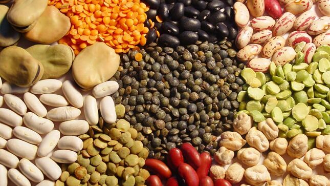 MIDAGRI: Perú será anfitrión de las actividades oficiales de FAO por el Día Mundial de las Legumbres 2025