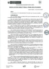 Vista preliminar de documento rd009-2025