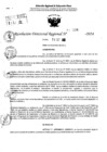 Vista preliminar de documento RDR 10338-2024