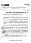 Vista preliminar de documento RDR 10339-2024
