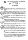 Vista preliminar de documento Nº 007-2025