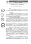 Vista preliminar de documento RD-08-2025-GRSM-DRTC-DO