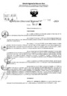 Vista preliminar de documento RDR 10342-2024
