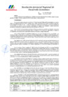Vista preliminar de documento RGR DE 001-2025