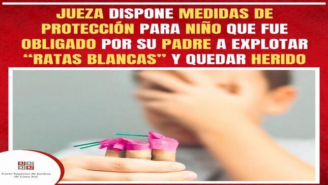 Jueza dispone medidas de protección para niño que fue obligado por su padre a explotar “ratas blancas”, resultando gravemente herido