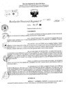 Vista preliminar de documento RDR 10343-2024