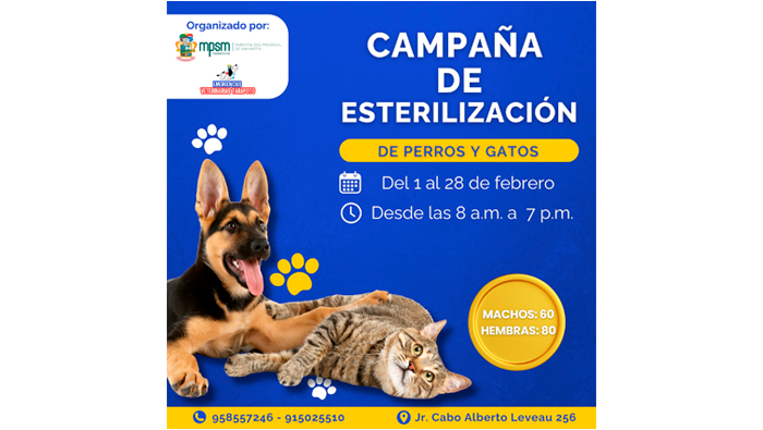 Gran CampaΓ±a de EsterilizaciΓ³n de Perros y Gatos.