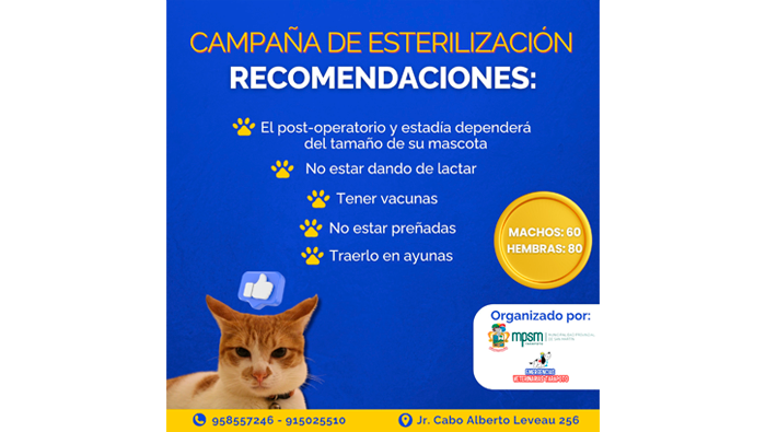 Gran CampaΓ±a de EsterilizaciΓ³n de Perros y Gatos.