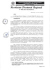 Vista preliminar de documento RDR-008-2025-GRSM-DRTC