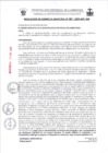 Vista preliminar de documento RG007-2025