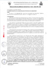 Vista preliminar de documento RG022-2025