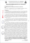 Vista preliminar de documento RG019-2025