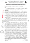Vista preliminar de documento RG020-2025
