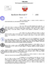 Vista preliminar de documento Resolucion Directoral N° 000017-2025