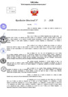 Vista preliminar de documento Resolucion Directoral N° 000020-2025