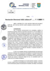 Vista preliminar de documento Resolucion Directoral N° 000024-2025