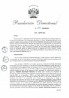 Vista preliminar de documento rd_1196_2024