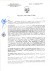 Vista preliminar de documento RD-0255-2025-DSAIA-DIRIS-LE-MINSA