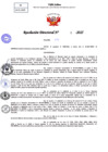 Vista preliminar de documento Resolucion Directoral N° 000028-2025-