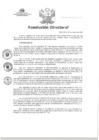 Vista preliminar de documento RD N°004-2025
