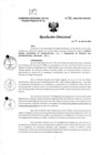 Vista preliminar de documento R.D. 703-2024
