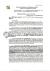 Vista preliminar de documento GDE-539-24