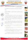 Vista preliminar de documento RESOLUCION DE ALCALDIA N°113