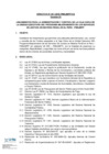 Vista preliminar de documento DIRECTIVA MANEJO DEL FONDO DE CAJA CHICA 2025 Version 01