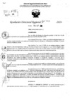 Vista preliminar de documento RDR 10350-2024