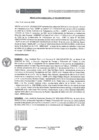 Vista preliminar de documento RD N  002-2025 - REPRAENTANTES DEL CORSSAT