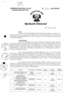 Vista preliminar de documento R.D. 706-2024