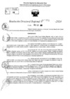 Vista preliminar de documento RDR 10352-2024