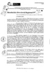 Vista preliminar de documento RDR 10353-2024