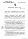 Vista preliminar de documento RD N° 007-2025-SA-DG-HNSEB