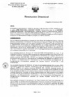 Vista preliminar de documento R.D. 0025-2025-DMID-DIRIS-LE-MINSA