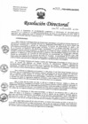 Vista preliminar de documento RD N°333-2024-HNHU-DG/UPER