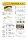 Vista preliminar de documento Boletín de abastecimiento y precio del ARROZ - 16/01/2025