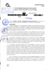 Vista preliminar de documento R.D N° 012-2025
