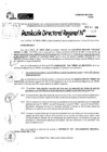 Vista preliminar de documento RDR 10360-2024